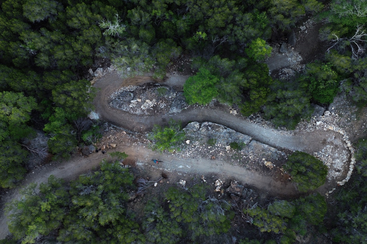 Aerial view of a winding dirt path surrounded by dense green trees, showcasing a mix of rocky terrain and lush foliage.