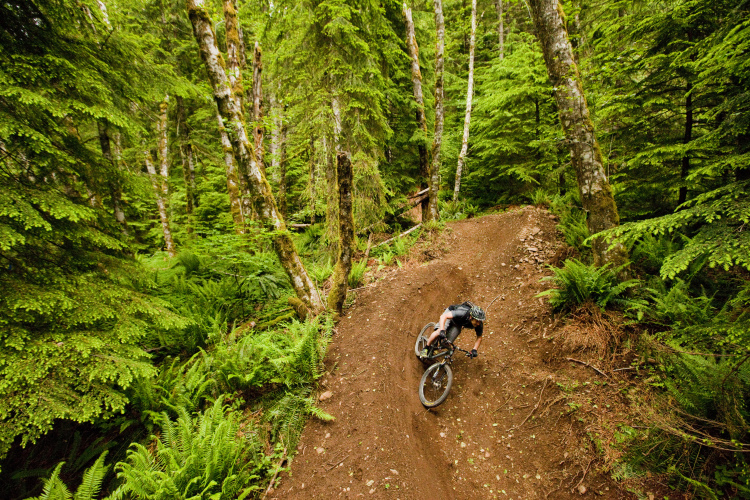 A mountain biker navigating a curved dirt trail through a lush green forest, surrounded by tall trees and ferns. The rider is leaning into the turn, showcasing skillful maneuvering on the bike.