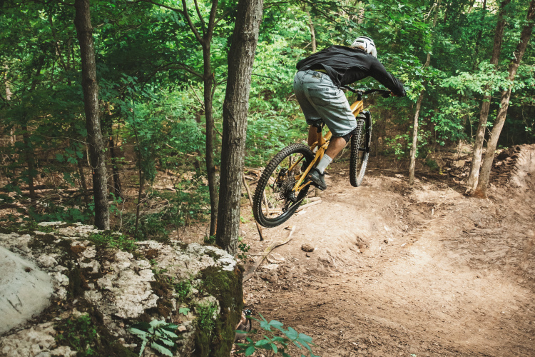 A mountain biker in a black long-sleeve shirt and gray shorts jumps off a rock in a wooded area, with trees and greenery surrounding the trail. The bike is yellow, and the rider is wearing a helmet. The path is dirt, indicating a bike trail in a natural setting.