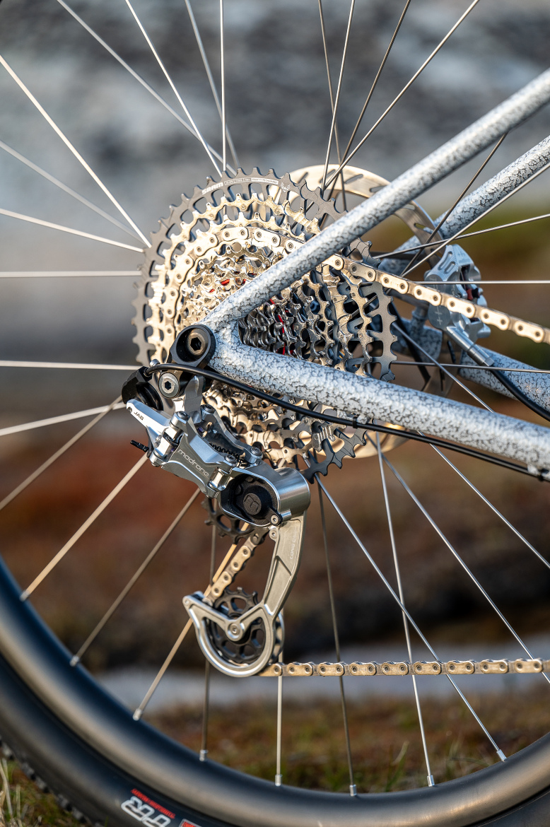Close-up view of a bicycle's rear drivetrain, showcasing the cassette, derailleur, and chain. The components are metallic with a textured finish, and the background features blurred natural scenery, emphasizing the bicycle's intricate design.
