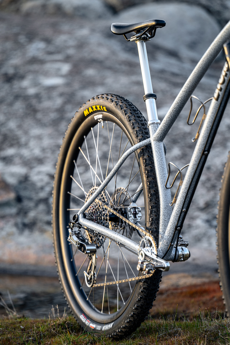 A close-up view of the rear section of a mountain bike, featuring a silver frame, black Maxxis tires, and a visible drivetrain setup. The bike is positioned against a natural rocky background with some grass. Sunlight highlights the textured finish of the bike's frame and the details of the components.