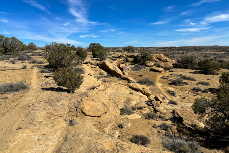 A wide, open landscape featuring rocky terrain with sparse vegetation, including small bushes and shrubs. A dirt path winds through the area, surrounded by larger rock formations. The sky above is bright blue with a few wispy clouds.