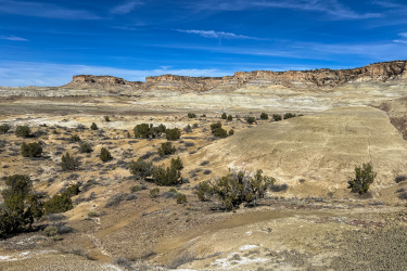 A vast desert landscape featuring rolling hills and sparse vegetation, with a backdrop of layered rock formations under a clear blue sky. The terrain is primarily sandy and rocky, adorned with patches of green bushes and shrubs.