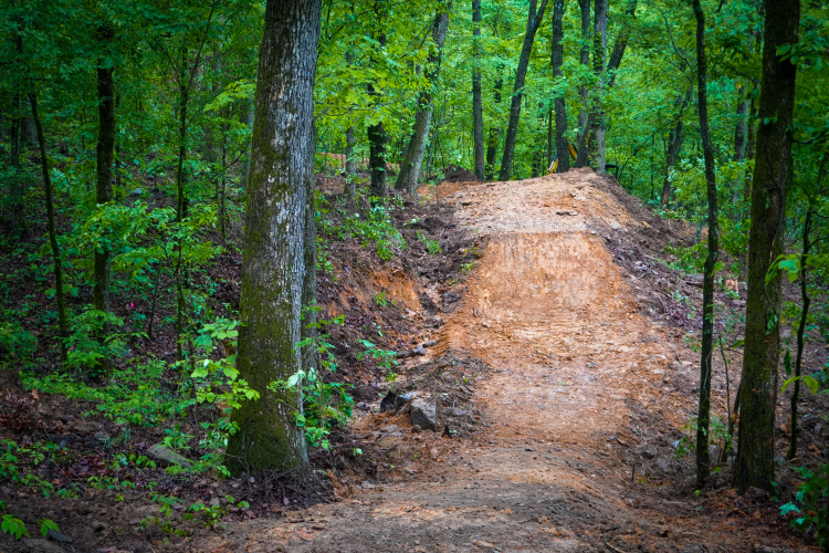 A dirt path leading through a lush green forest, surrounded by tall trees and dense foliage. The path is slightly elevated and has a smooth surface, suggesting it may be used for hiking or biking activities.
