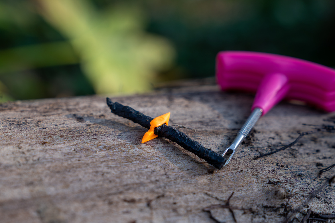 A black, rusty nail embedded in a wooden surface, with a small orange plastic marker next to it. A pink tool with a T-shaped handle is partially visible in the background.