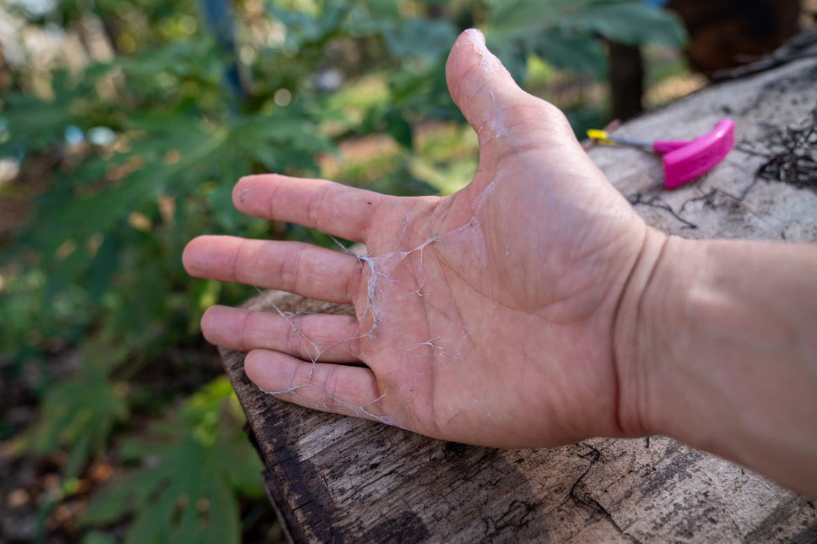 A close-up view of an open hand with strands of transparent substance adhering to it, resting on a wooden surface. In the blurred background, leafy green plants are visible, creating a natural outdoor setting. A small pink tool is positioned near the edge of the wooden surface.