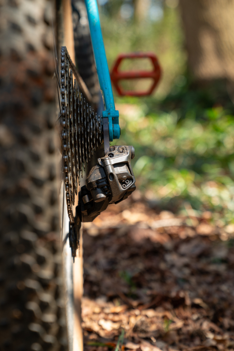 Close-up view of a bicycle's rear derailleur and chain, showcasing a dirty, mechanical component against a blurred background of leaves and greenery. The bike features a blue frame and a contrasting red pedal.