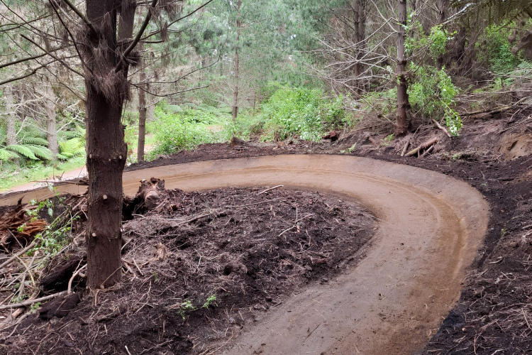 A winding dirt trail curves through a forested area, surrounded by trees and lush undergrowth. The path is freshly cleared, with dark soil and some exposed roots visible along the edges.