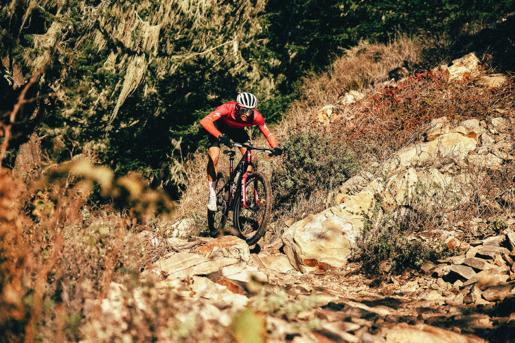 A mountain biker in a red jersey navigates a rocky trail surrounded by dry foliage and trees. The biker is focused and balancing on the bike as they tackle the uneven terrain.