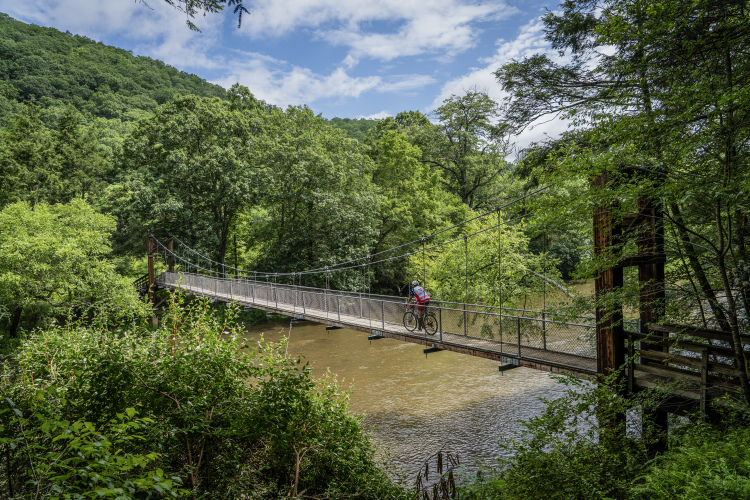 A cyclist crosses a suspension bridge over a river, surrounded by lush greenery and rolling hills under a partly cloudy sky.