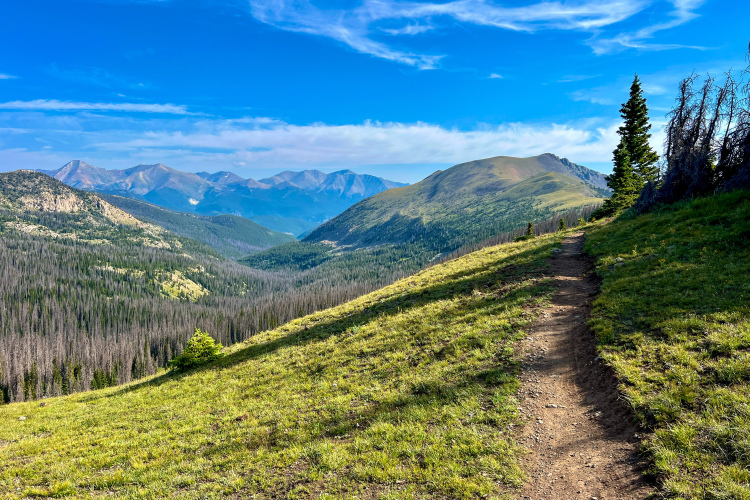 A scenic view of a mountain trail winding along a grassy hillside, surrounded by lush forests and distant peaks under a bright blue sky with wispy clouds. The path leads through a vibrant green landscape, showcasing the natural beauty of the mountainous terrain.