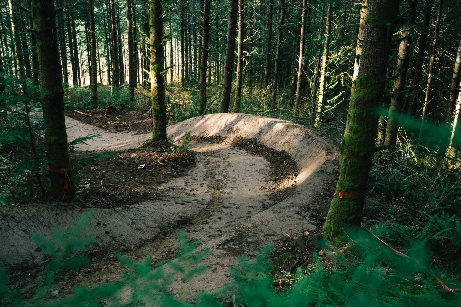 Single Track Build How much does it cost to build a mountain bike trail? - Singletracks ...