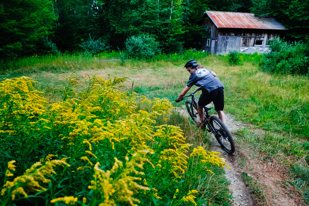 A person riding a mountain bike on a dirt path surrounded by tall yellow wildflowers, with a rustic wooden cabin visible in the background among green foliage.