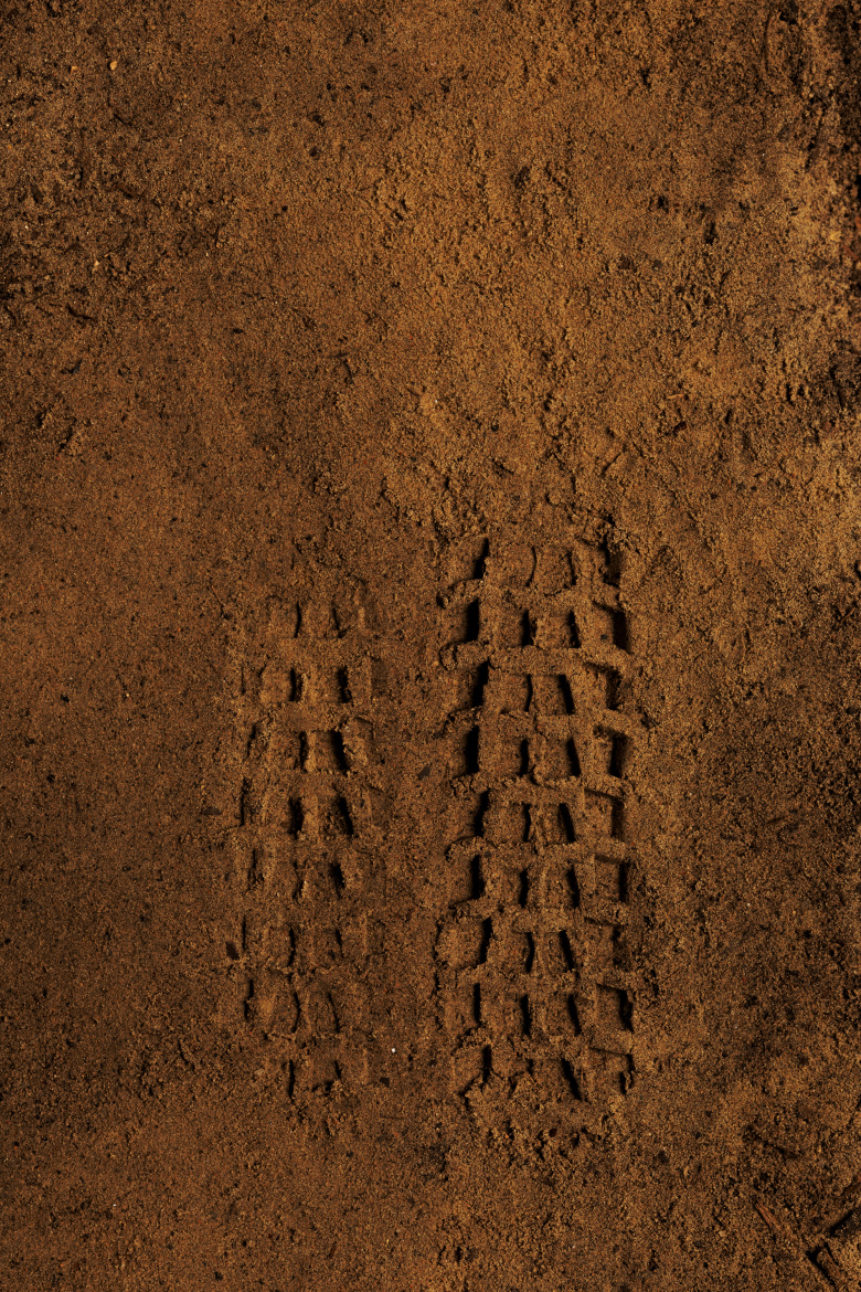 Close-up view of tire tracks imprinted in brown soil, showing detailed tread patterns against a textured ground surface.
