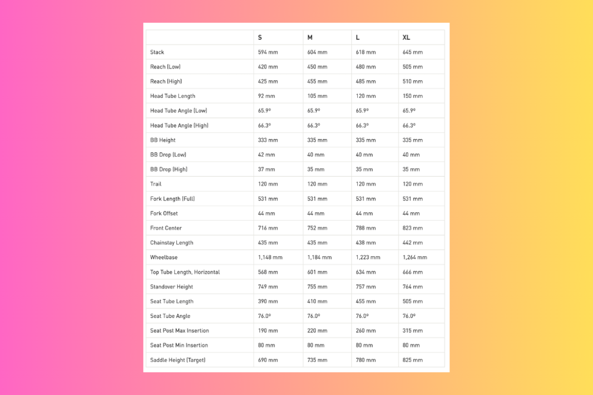 Specialized Epic 9 geometry.