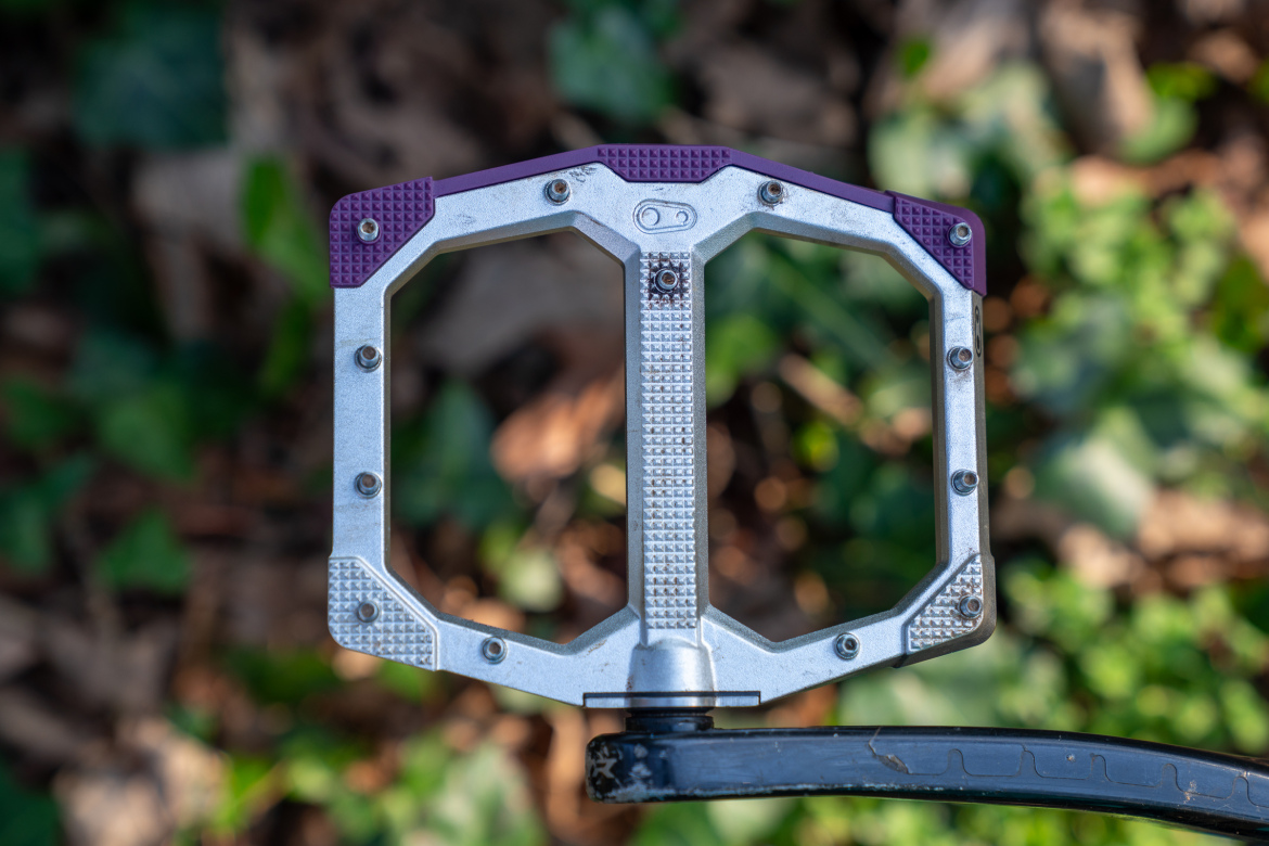 A close-up image of a metallic bicycle pedal with a hexagonal shape, featuring textured purple rubber edges for grip, mounted on a black bike crank. The background is blurred with green foliage and brown leaves.