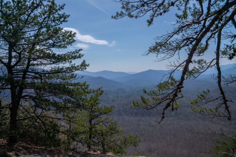 A scenic view of a mountainous landscape, with rolling hills fading into the distance under a clear blue sky. Pine trees frame the foreground, their branches reaching out over the valley below, which is dotted with sparse vegetation. The overall atmosphere conveys a sense of tranquility and natural beauty.