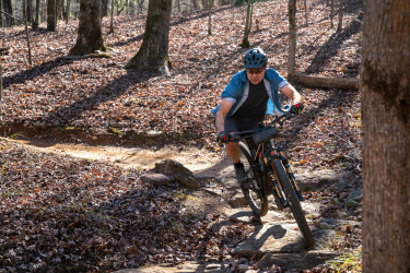 A cyclist navigating a rocky trail in a wooded area, surrounded by fallen leaves and trees, wearing a helmet and cycling attire. The sunlight casts shadows on the trail as the rider maneuverers through the terrain. Standing Boy Trails mountain bike trail.