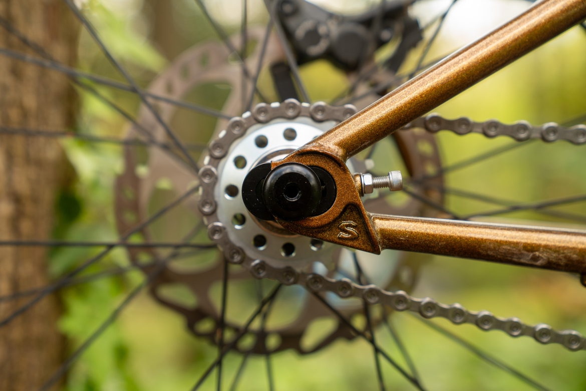 Close-up of a bike's rear axle and sprocket, showcasing a bronze-colored frame element, a black hub, and a chain connected to a disc brake. The background features blurred green foliage, indicating an outdoor setting.