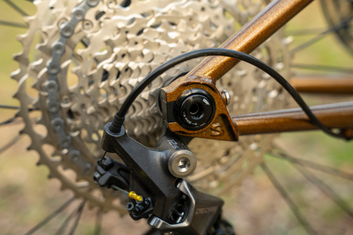 Close-up of a bicycle's rear drivetrain components, featuring a metallic golden-brown rear triangle, a chain with interlocking links, and a black derailleur. The image highlights the intricate details of the bicycle's gearing system against a blurred outdoor background.