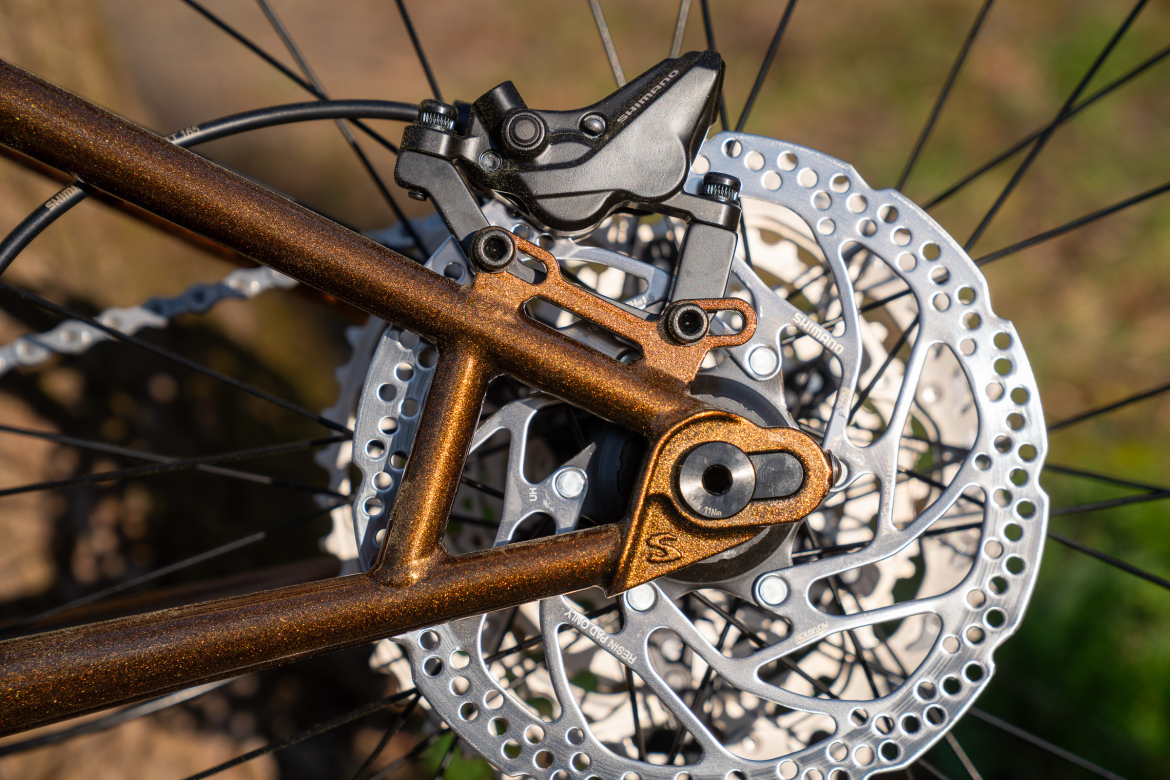 Close-up image of a bicycle's rear brake assembly, featuring a metallic bronze frame with a textured finish, a sleek black brake caliper, and a silver disc brake rotor with intricate cutouts. The background is softly blurred, showcasing natural outdoor elements.