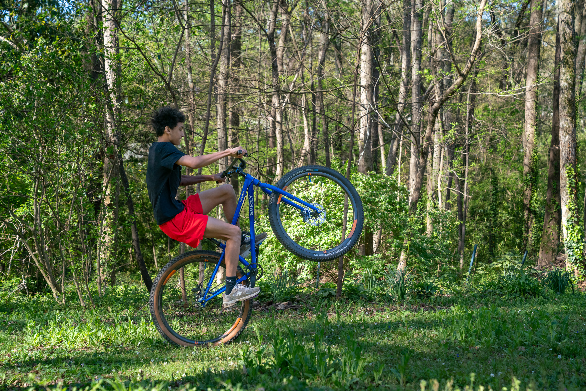 A young person performs a wheelie on a blue mountain bike in a forested area, surrounded by trees and lush greenery. The individual is wearing a black t-shirt and red shorts, balancing on the rear wheel while the front wheel is elevated off the ground. Sunlight filters through the trees, creating a vibrant outdoor scene.