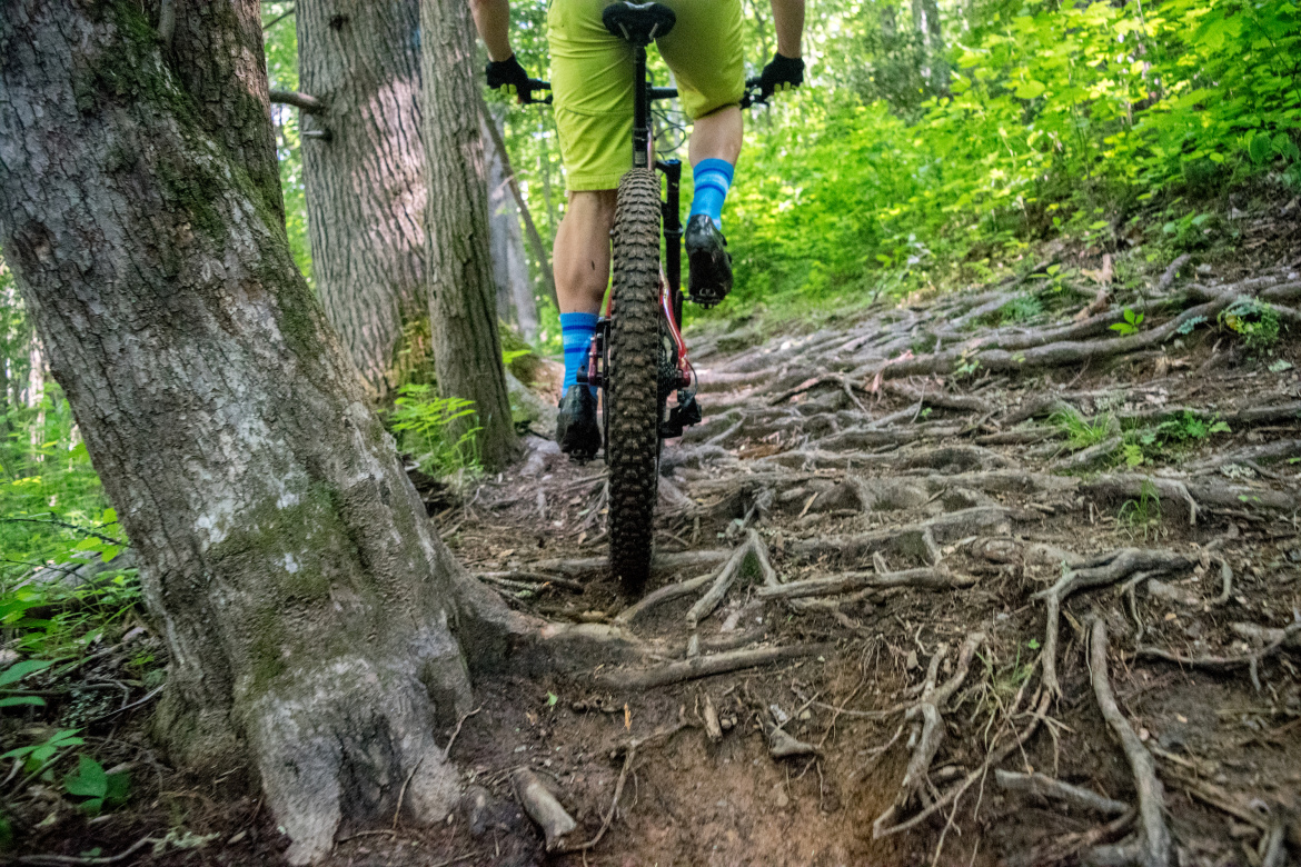 A mountain biker rides along a wooded trail, navigating over tree roots and uneven terrain. The bike's rear wheel is visible, with lush green vegetation surrounding the path, and tall trees in the background. The rider is wearing bright yellow shorts and blue socks, emphasizing an active outdoor adventure.