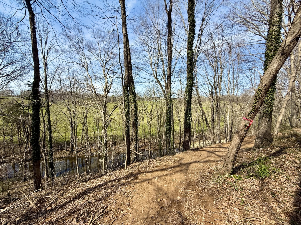 A wooded trail surrounded by bare trees, leading to a grassy field in the distance. A small stream runs alongside the pathway, under a clear blue sky with scattered clouds.