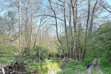 A serene landscape featuring a winding dirt path alongside a calm, reflective waterway. Leafless trees stretch towards the sky, with hints of green foliage emerging in the background. The scene captures the tranquility of nature, inviting exploration and appreciation of the outdoors. Parkhill Conservation area and rail trail mountain bike trail.