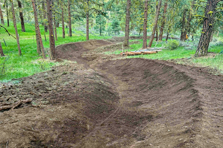 A winding dirt path through a forest with tall trees and lush green grass on either side. The path appears freshly created, with shaped turns that suggest it's suitable for biking or hiking.