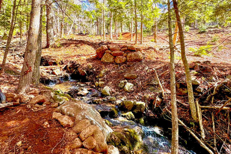 A serene forest scene featuring a gentle stream flowing over rocks, surrounded by tall trees and a carpet of dried leaves. Sunlight filters through the branches, illuminating the landscape and creating a peaceful natural setting.