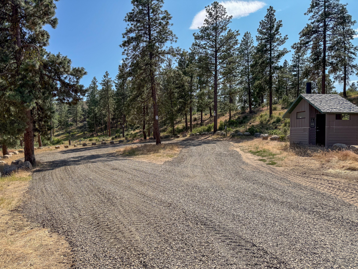 A gravel road curving through a forested area with tall pine trees and a small wooden cabin on the right. The ground is dry with patches of grass and scattered stones. A clear blue sky is visible above.