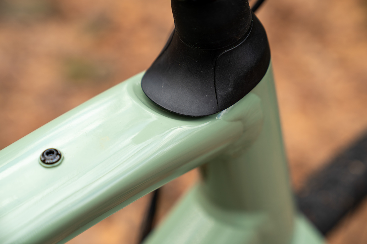 Close-up view of a bicycle frame in a soft green color, highlighting the junction where the top tube meets the head tube. The area features a black rubber headset cap and a silver bolt, with a background of blurred autumn leaves.