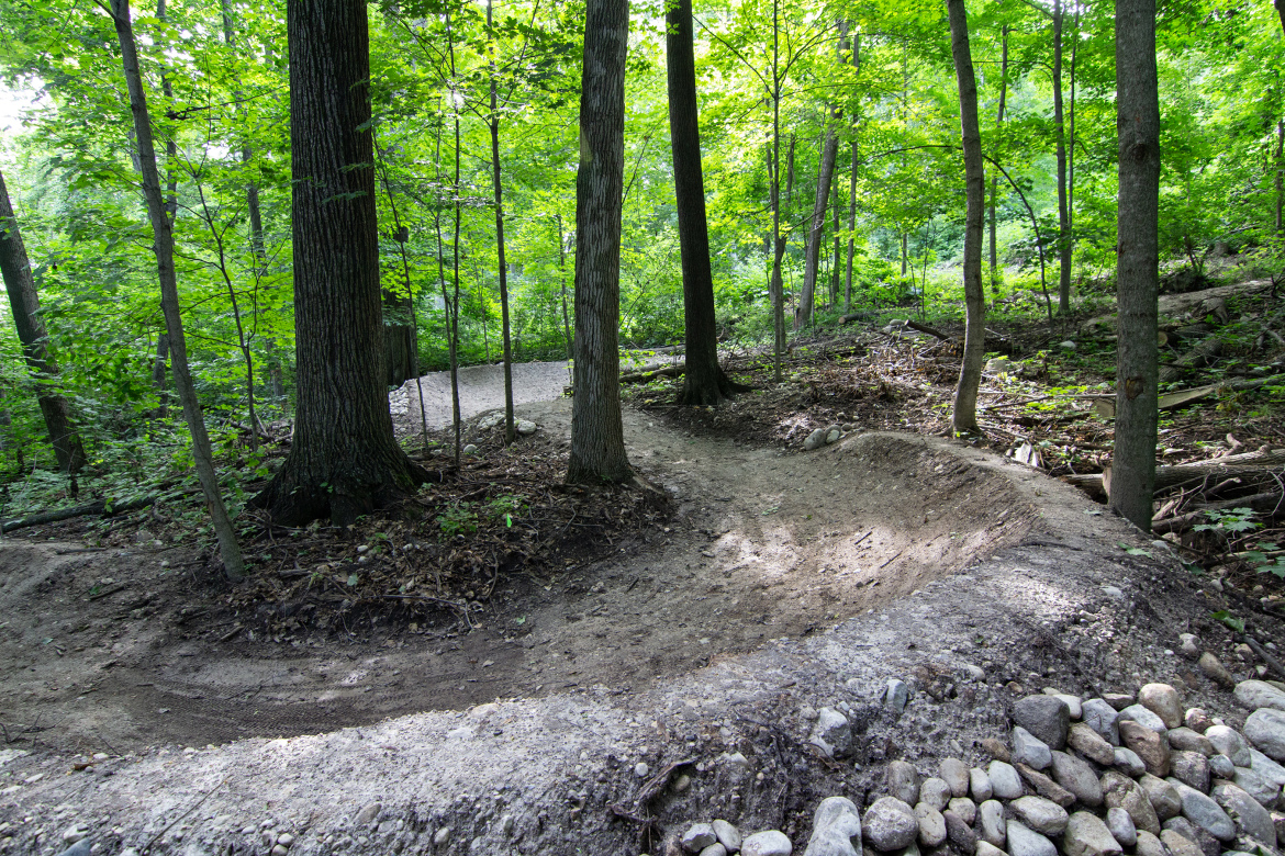 A winding dirt trail through a lush green forest at Rocky Knoll Trail System, surrounded by tall trees and foliage, with a clear path curving to the right. The ground is partially covered in rocks and debris, indicating a natural yet maintained biking or hiking route.