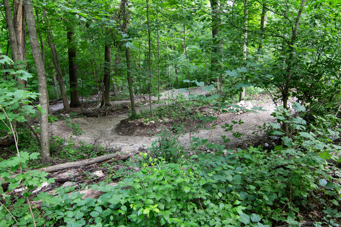 A winding dirt trail through a lush green forest at Rocky Knoll Trail System, surrounded by trees and foliage, with patches of cleared ground and scattered rocks.