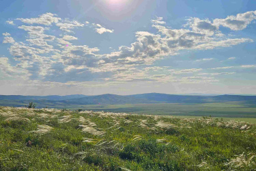 A wide view of a grassy landscape under a bright blue sky. The sun shines brightly in the upper center of the image, surrounded by a few fluffy white clouds. The foreground features lush green grass with some tall, wispy vegetation swaying gently in the breeze. In the distance, rolling hills can be seen, creating a serene and tranquil atmosphere. Vashlovani National Park Adventure Loop mountain bike trail.