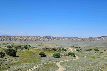 A panoramic view of a vast landscape featuring rolling hills, sparse vegetation, and a winding dirt path. The sky is clear with a bright blue hue, and a few scattered trees dot the terrain, while distant mountains outline the horizon. Vashlovani National Park Adventure Loop mountain bike trail.