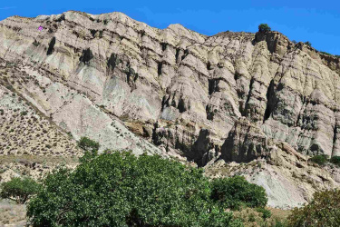 A rugged landscape featuring steep, multi-colored rock formations under a bright blue sky, with a patch of green foliage and sparse vegetation in the foreground. Vashlovani National Park Adventure Loop mountain bike trail.