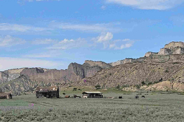 A scenic landscape featuring a vast sagebrush field with two dilapidated farm buildings in the foreground. In the background, rugged cliffs rise against a bright blue sky dotted with fluffy white clouds. There are a few cattle grazing in the field, highlighting the rural setting. Vashlovani National Park Adventure Loop mountain bike trail.