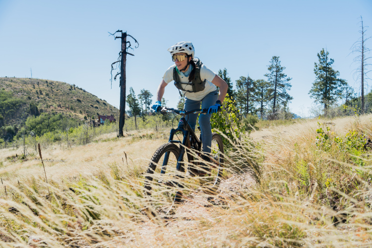 A person riding a mountain bike on a trail surrounded by tall grasses and trees on a sunny day, wearing a helmet and sunglasses. The cyclist is focused and in motion, navigating through the natural landscape.