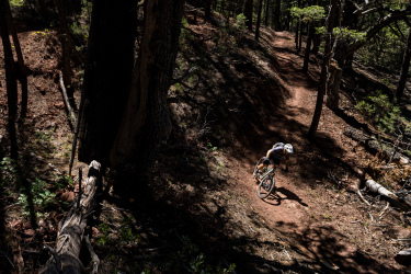A mountain biker navigating a winding dirt trail surrounded by dense trees and sunlight filtering through the foliage. The rider is leaning into a turn, with the forest floor visible in the background, showcasing a mix of soil and scattered greenery.