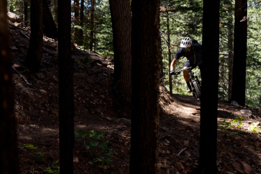 A mountain biker navigating a dirt trail in a forest, surrounded by tall trees. Sunlight filters through the foliage, creating a contrast of light and shadow on the trail. Highline Trail: Gathering Waters mountain bike trail.