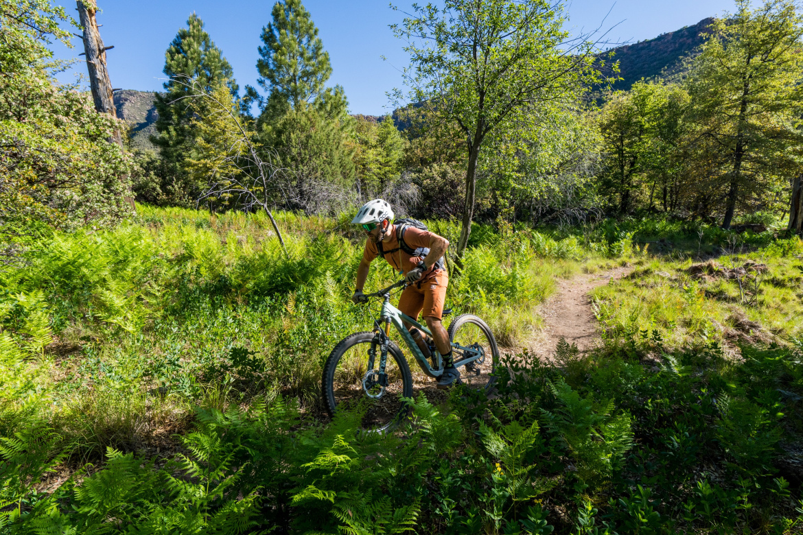 A mountain biker navigates a dirt trail through lush greenery and ferns in a forested area on a sunny day. The rider wears a helmet and protective gear, and the surrounding landscape features tall trees and gentle slopes. Highline Trail: Inner Sanctum mountain bike trail.