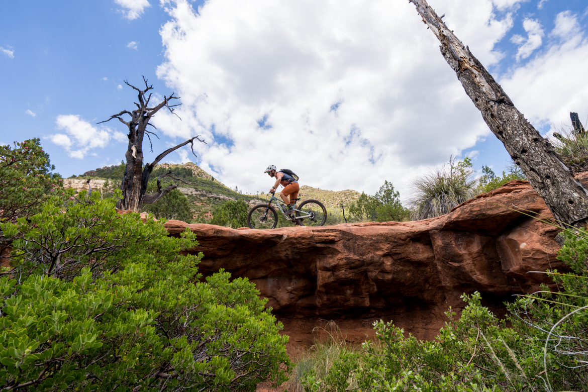 A mountain biker rides along a rocky ledge amid lush green vegetation and a rugged landscape under a partly cloudy sky. In the background, a mountain peak rises, and a dead tree stands prominently against the blue sky.
