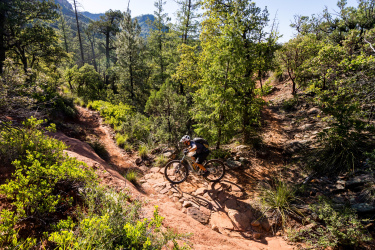 A mountain biker navigating a rugged dirt trail surrounded by lush greenery and trees, with rocky terrain and rolling hills in the background. The scene captures a sunny day in a natural outdoor setting, highlighting the excitement of mountain biking.