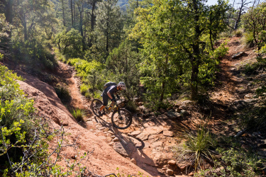 A mountain biker navigating a rocky trail surrounded by dense greenery and trees on a sunny day.