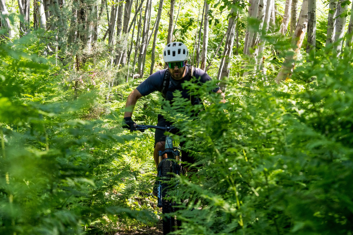 A mountain biker navigating a narrow trail surrounded by lush green ferns and trees, wearing a helmet and sunglasses. The scene captures the essence of outdoor adventure and nature. Highline Trail: Geronimo's Call mountain bike trail.