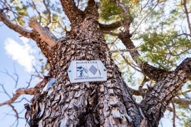 Highline Trail: Geronimo's Call trail photo