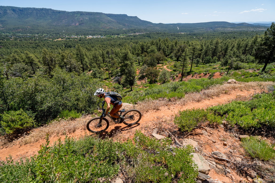 A mountain biker navigates a winding dirt trail surrounded by lush greenery and tall pine trees, with expansive mountain views in the background under a clear blue sky. Pine-Strawberry Loop mountain bike trail.
