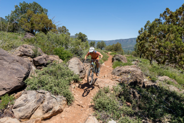 A mountain biker navigating a rocky dirt trail surrounded by greenery and trees, with a clear blue sky in the background. The biker is airborne, showcasing a dynamic movement as they maneuver over boulders on a mountain path. Pine-Strawberry Loop mountain bike trail.